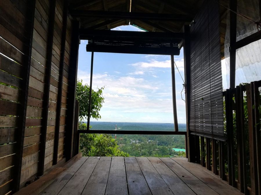 Tree House Library