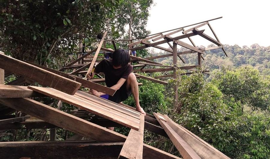 Tree House Build